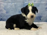 processed/0883cec2-9c27-4996-9b61-42a4f6e6d9a5/listing/75f3f5c6-ca3f-49e7-8150-07c55f7fb2a5/d1d58f1d-3366-4928-9bd3-02f0c433e88b