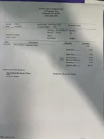 Niblet, a female Bichon Frise and Yorkshire Terrier for sale in Cincinnati, OH – Photo 4 of 4