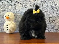 processed/0883cec2-9c27-4996-9b61-42a4f6e6d9a5/listing/be136610-2b66-481f-8c5e-831ee44b749e/f8baaea3-a881-4a66-8f7b-21de3348ab2a