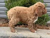 processed/0883cec2-9c27-4996-9b61-42a4f6e6d9a5/listing/cfd1227b-f4ba-40b8-8a6b-8be127f24ed1/68b53cf2-7fb3-471c-810e-ec3cc40e1584