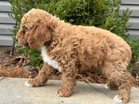 processed/0883cec2-9c27-4996-9b61-42a4f6e6d9a5/listing/cfd1227b-f4ba-40b8-8a6b-8be127f24ed1/9e3e6597-ce7d-4087-b424-c5066c7d5189