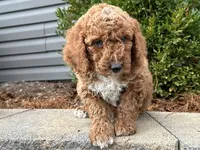 processed/0883cec2-9c27-4996-9b61-42a4f6e6d9a5/listing/cfd1227b-f4ba-40b8-8a6b-8be127f24ed1/d666b457-c8bd-4012-9b82-ee459cf94be1