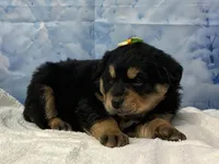 processed/0883cec2-9c27-4996-9b61-42a4f6e6d9a5/listing/db5ab4d1-ab31-4ff3-9909-40ef66e82ae1/50491d94-fc66-4169-af6c-0df8fc98b388