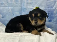 processed/0883cec2-9c27-4996-9b61-42a4f6e6d9a5/listing/db5ab4d1-ab31-4ff3-9909-40ef66e82ae1/7f5a60bd-f5f0-48ba-8c91-f2c38b2d1a9e