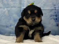 processed/0883cec2-9c27-4996-9b61-42a4f6e6d9a5/listing/db5ab4d1-ab31-4ff3-9909-40ef66e82ae1/e83cfe03-dc1f-48b4-a9ee-bb8736999557