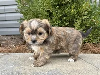 processed/0883cec2-9c27-4996-9b61-42a4f6e6d9a5/listing/e686a33b-04a0-4d6d-a6ef-f3f81ca62360/b2d7a13e-a568-4d0a-8a2d-0c1b5a61e82b