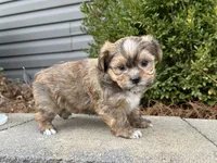 processed/0883cec2-9c27-4996-9b61-42a4f6e6d9a5/listing/e686a33b-04a0-4d6d-a6ef-f3f81ca62360/c0cf53b6-6e20-466b-b2ef-31467d65c058