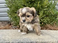 processed/0883cec2-9c27-4996-9b61-42a4f6e6d9a5/listing/e686a33b-04a0-4d6d-a6ef-f3f81ca62360/fbbc2e40-0e9b-4828-867c-01111e59078b