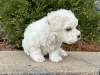 processed/0883cec2-9c27-4996-9b61-42a4f6e6d9a5/listing/ead622d8-3039-4a11-9f3a-4b7fc94b3211/09403d11-8a8a-4b11-8c7a-2092a8b08bde