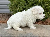 processed/0883cec2-9c27-4996-9b61-42a4f6e6d9a5/listing/ead622d8-3039-4a11-9f3a-4b7fc94b3211/aa7839c1-6c90-4ba3-a829-93a09100f494