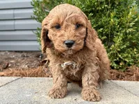 processed/0883cec2-9c27-4996-9b61-42a4f6e6d9a5/listing/f8d75296-fd4c-4ef8-b383-104d32787682/736a1d6c-ce51-4518-83a2-fb194ad0c37a