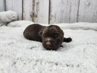 processed/088611b5-3be5-408b-9507-259b6e2d5ce7/listing/6c8f80f9-6ce9-466c-b56c-578327623689/5dea046c-0fda-4268-88ec-9585252c4afd