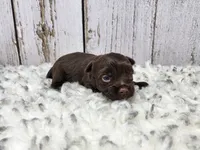 processed/088611b5-3be5-408b-9507-259b6e2d5ce7/listing/6c8f80f9-6ce9-466c-b56c-578327623689/77d4a5e8-b354-495e-89c4-ab7fabb760e3