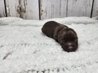 processed/088611b5-3be5-408b-9507-259b6e2d5ce7/listing/6c8f80f9-6ce9-466c-b56c-578327623689/9804d9f0-b881-40af-934e-64666650d8c7