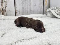 processed/088611b5-3be5-408b-9507-259b6e2d5ce7/listing/6c8f80f9-6ce9-466c-b56c-578327623689/ced5c346-18d7-4d8d-b328-198469d88b4e