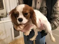 processed/08914509-a7d1-4905-99e8-0a5586a61b96/listing/05e8753f-8958-475b-a518-c9089a17d0d1/1c080b50-4ef5-4bd4-9c6d-3d6197657ccc