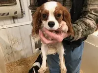 processed/08914509-a7d1-4905-99e8-0a5586a61b96/listing/05e8753f-8958-475b-a518-c9089a17d0d1/3a6caa7b-34e0-48b0-a6ed-504a8a91b4aa