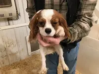 processed/08914509-a7d1-4905-99e8-0a5586a61b96/listing/05e8753f-8958-475b-a518-c9089a17d0d1/40741b3b-adf1-4223-a215-aaee2424a7fa