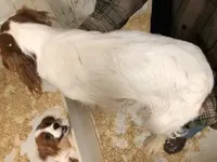 processed/08914509-a7d1-4905-99e8-0a5586a61b96/listing/05e8753f-8958-475b-a518-c9089a17d0d1/784a55f9-33cb-4d7c-adf6-ebb1abd38005