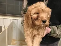 processed/08914509-a7d1-4905-99e8-0a5586a61b96/listing/7d4addb7-7b0c-40f0-b58a-f955dc006c99/141da466-2f26-4c1d-a191-f8d402a5c92a