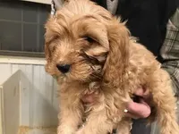 processed/08914509-a7d1-4905-99e8-0a5586a61b96/listing/7d4addb7-7b0c-40f0-b58a-f955dc006c99/45e35710-6cb8-4986-9357-10701bd2548b