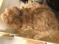 processed/08914509-a7d1-4905-99e8-0a5586a61b96/listing/7d4addb7-7b0c-40f0-b58a-f955dc006c99/5ff1899f-ffbc-4f57-b53e-724761bad480