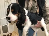 processed/08914509-a7d1-4905-99e8-0a5586a61b96/listing/88456aad-13d7-461a-bb2b-a5e7d0b24ee7/39389b95-0df1-4849-b780-cdcd765330cd