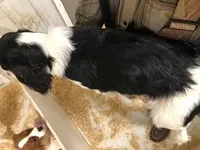 processed/08914509-a7d1-4905-99e8-0a5586a61b96/listing/88456aad-13d7-461a-bb2b-a5e7d0b24ee7/805caa06-0d91-4bfd-95ba-bb3d44c03cf4