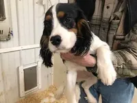 processed/08914509-a7d1-4905-99e8-0a5586a61b96/listing/88456aad-13d7-461a-bb2b-a5e7d0b24ee7/9be30cd7-e1cd-4d7e-9fbd-d5701c592ddc