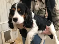 processed/08914509-a7d1-4905-99e8-0a5586a61b96/listing/88456aad-13d7-461a-bb2b-a5e7d0b24ee7/c27be7f7-5cdd-4261-b6cb-31e17f2d735a