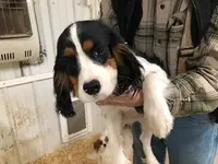 processed/08914509-a7d1-4905-99e8-0a5586a61b96/listing/88456aad-13d7-461a-bb2b-a5e7d0b24ee7/cf0a0990-592c-46ba-b418-ad7c8901fb03