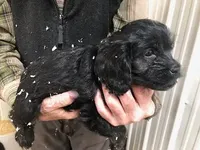 processed/08914509-a7d1-4905-99e8-0a5586a61b96/listing/fa4244f0-cce6-429a-8c3d-cf99f740d3d9/502408cb-fb5c-450c-b297-b71d782360c4