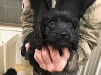 processed/08914509-a7d1-4905-99e8-0a5586a61b96/listing/fa4244f0-cce6-429a-8c3d-cf99f740d3d9/a31d1027-0d02-457c-b130-d80889dcbc66