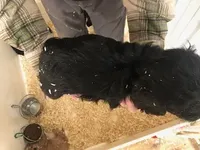 processed/08914509-a7d1-4905-99e8-0a5586a61b96/listing/fa4244f0-cce6-429a-8c3d-cf99f740d3d9/af0662cf-d488-46cd-aa68-69d1f268c573