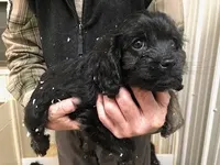 processed/08914509-a7d1-4905-99e8-0a5586a61b96/listing/fa4244f0-cce6-429a-8c3d-cf99f740d3d9/c0426aab-39d0-4fea-960c-c5ce0dc6754e