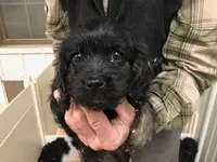 processed/08914509-a7d1-4905-99e8-0a5586a61b96/listing/fa4244f0-cce6-429a-8c3d-cf99f740d3d9/ce7ed515-4d8b-4d9a-9c53-989a777f20ee