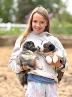 processed/089246ed-b19d-4141-afc5-a8682ddbdb1f/facility/42f06e66-65fd-47d3-b110-c82fefdfe82b