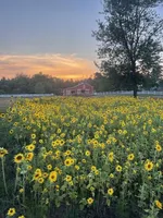 processed/089246ed-b19d-4141-afc5-a8682ddbdb1f/facility/9c5a6df2-587b-43e7-8785-4df104165382