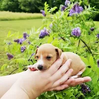 processed/0898d5a9-441f-4e3e-89f5-80d4ab8ecbd7/facility/61df1e94-a74c-4d30-ae09-e68c43bcd63d