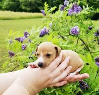 processed/0898d5a9-441f-4e3e-89f5-80d4ab8ecbd7/facility/61df1e94-a74c-4d30-ae09-e68c43bcd63d