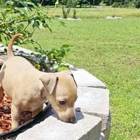 processed/0898d5a9-441f-4e3e-89f5-80d4ab8ecbd7/facility/96ba6517-0dc7-46b7-8b10-6e2a27a340cc