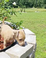 processed/0898d5a9-441f-4e3e-89f5-80d4ab8ecbd7/facility/96ba6517-0dc7-46b7-8b10-6e2a27a340cc