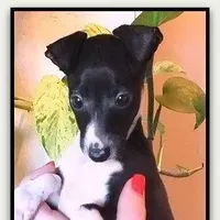 processed/0898d5a9-441f-4e3e-89f5-80d4ab8ecbd7/facility/d4103a4b-22a3-41a5-8358-73ecfe436721