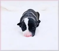 processed/0898d5a9-441f-4e3e-89f5-80d4ab8ecbd7/listing/0f70dfdf-2f18-40be-8280-cdc1328eabbc/05ace110-3f1a-4283-b160-d26e98469326