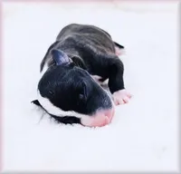 processed/0898d5a9-441f-4e3e-89f5-80d4ab8ecbd7/listing/0f70dfdf-2f18-40be-8280-cdc1328eabbc/43f9c93a-2bfe-435d-9410-2f47911b0d01