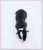 processed/0898d5a9-441f-4e3e-89f5-80d4ab8ecbd7/listing/0f70dfdf-2f18-40be-8280-cdc1328eabbc/773eef18-79fc-49a1-9bc7-195f87ccbee0