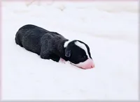 processed/0898d5a9-441f-4e3e-89f5-80d4ab8ecbd7/listing/0f70dfdf-2f18-40be-8280-cdc1328eabbc/7ba5892c-e14f-4460-bbba-9843ec9b5b7c