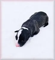 processed/0898d5a9-441f-4e3e-89f5-80d4ab8ecbd7/listing/0f70dfdf-2f18-40be-8280-cdc1328eabbc/de8f401f-2f89-470b-975d-47e1712dbccb