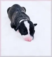 processed/0898d5a9-441f-4e3e-89f5-80d4ab8ecbd7/listing/0f70dfdf-2f18-40be-8280-cdc1328eabbc/e8b3f9b0-e73d-4d40-947f-7b19927323ad