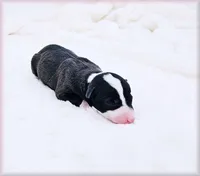 processed/0898d5a9-441f-4e3e-89f5-80d4ab8ecbd7/listing/0f70dfdf-2f18-40be-8280-cdc1328eabbc/f7509f26-a6cf-4478-aa12-9d770bf7a18f